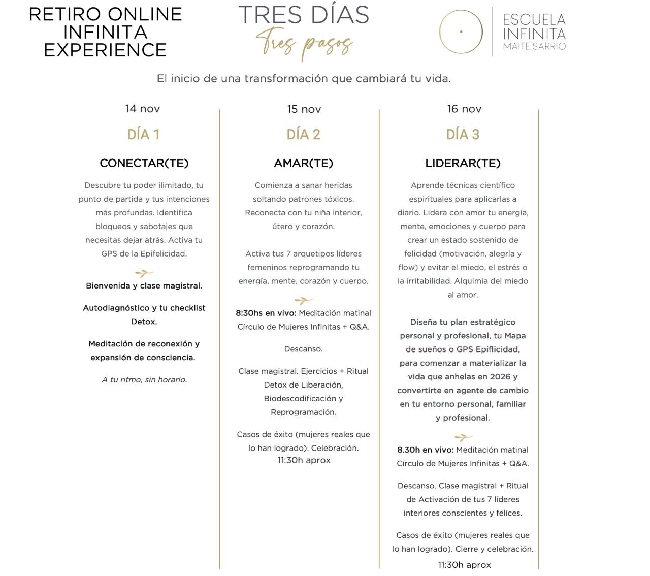 agenda retiro online infinita experience noviembre 2025